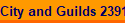 City and Guilds 2391-50 or 51