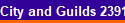 City and Guilds 2391-50 or 51
